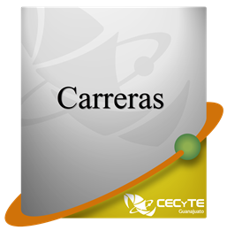 boton amarillo_Carreras
