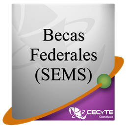 becasfederales